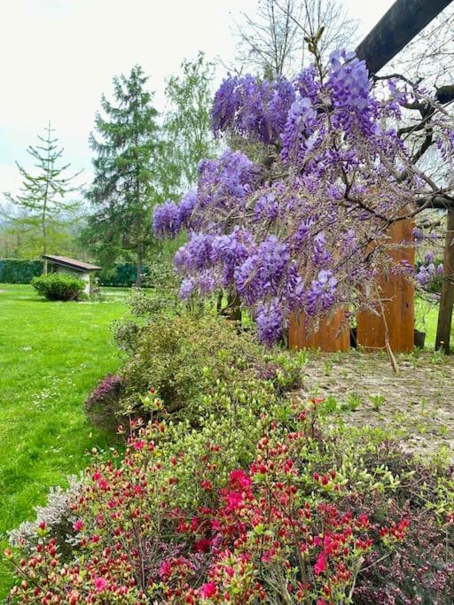 Villa Giulia - Argentera Peveragno Luaran gambar