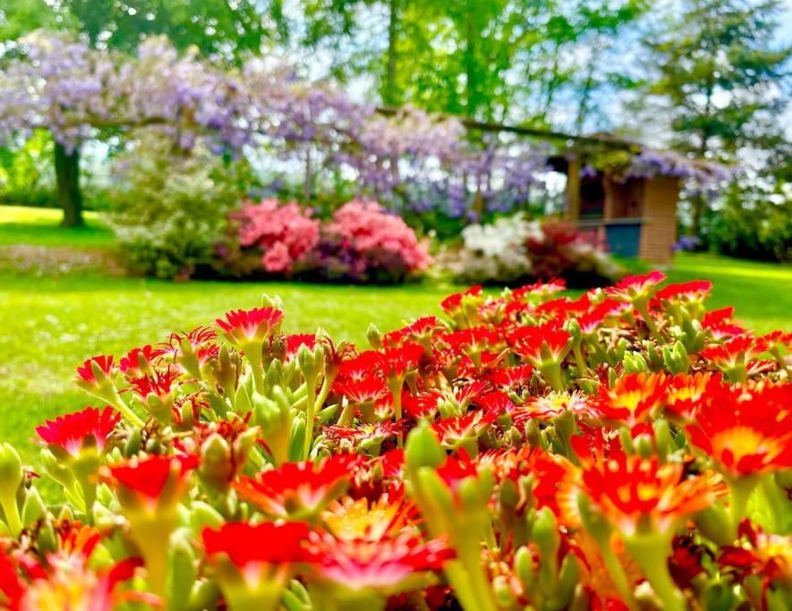 Villa Giulia - Argentera Peveragno Luaran gambar